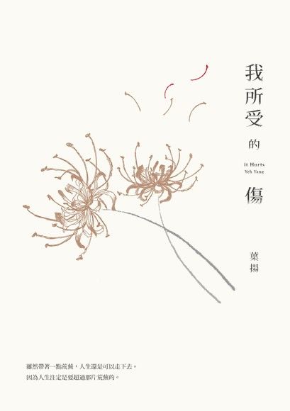 14-我所受的傷.JPG