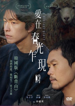 愛在春光