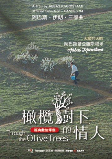橄欖樹下的情人