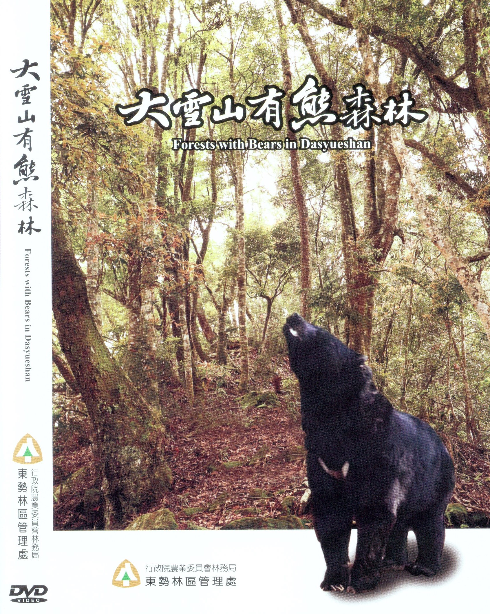 大雪山有熊森林.jpg