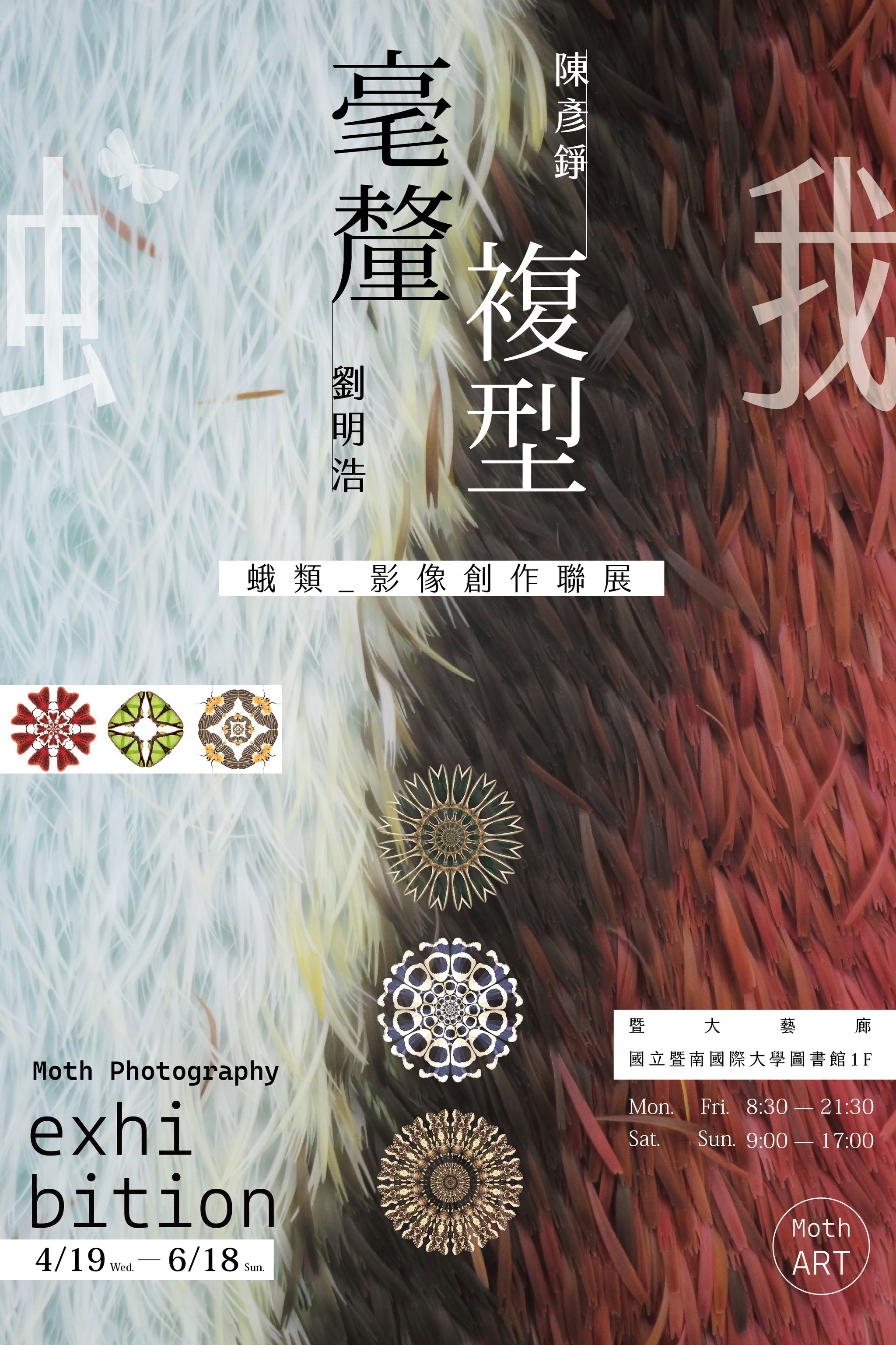 《蛾．毫釐與複型》劉明浩 X 陳彥錚　蛾類影像創作聯展