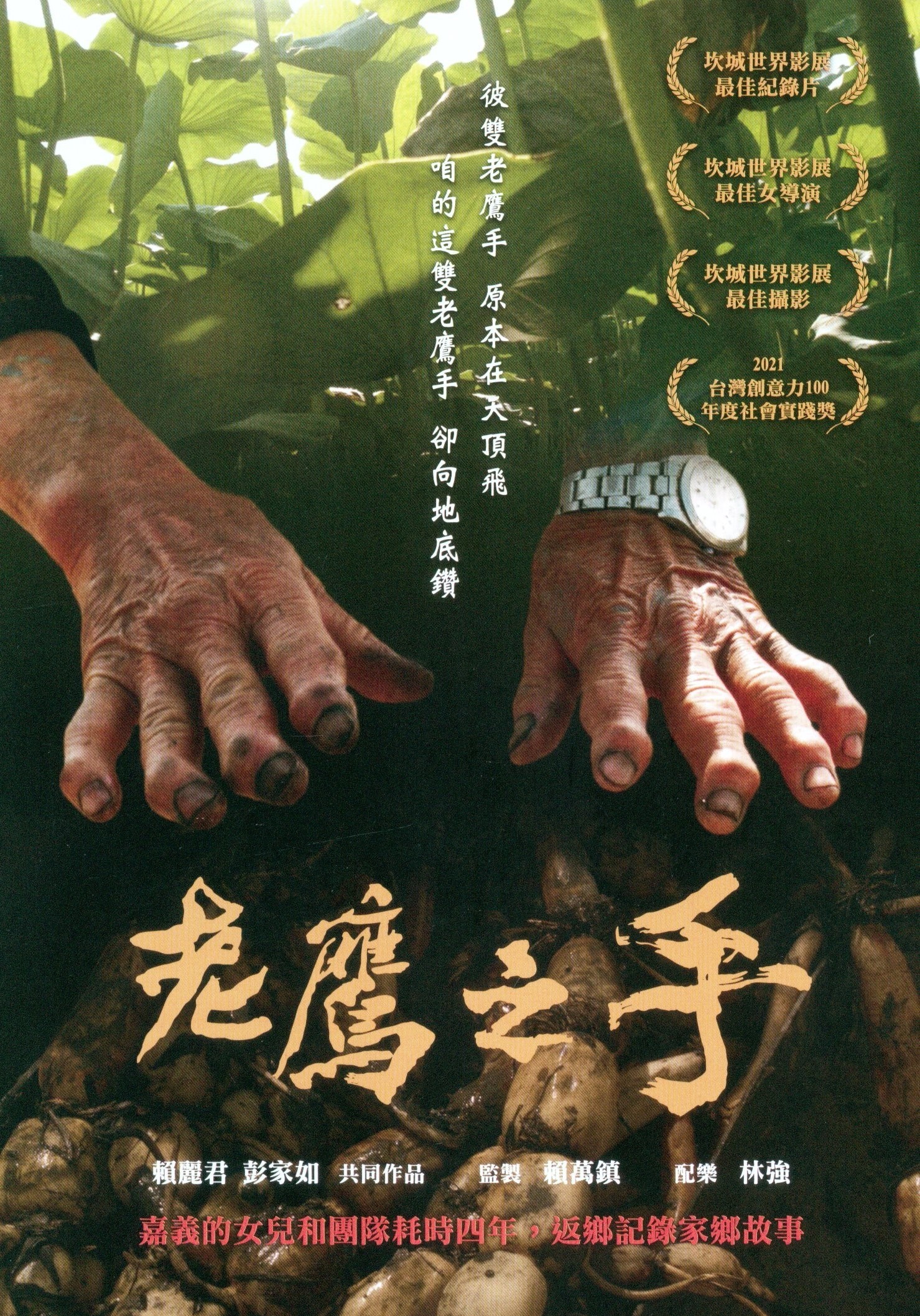 老鷹之手.jpg