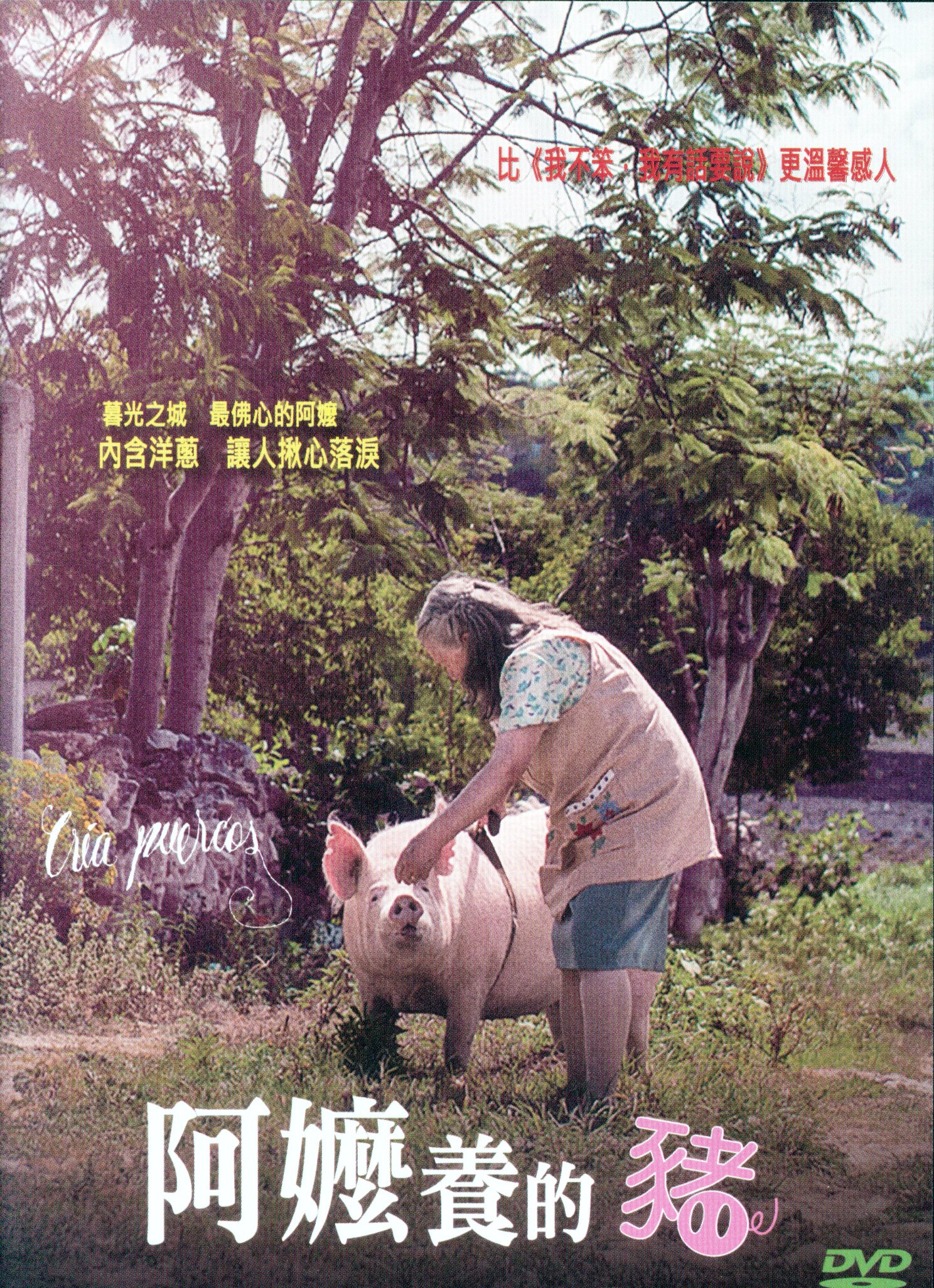 阿嬤養的豬.jpg